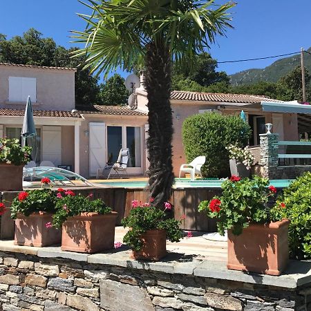 Chambre Hotes Carpe Diem Santa-Maria-Poggio (Corsica) Exterior foto