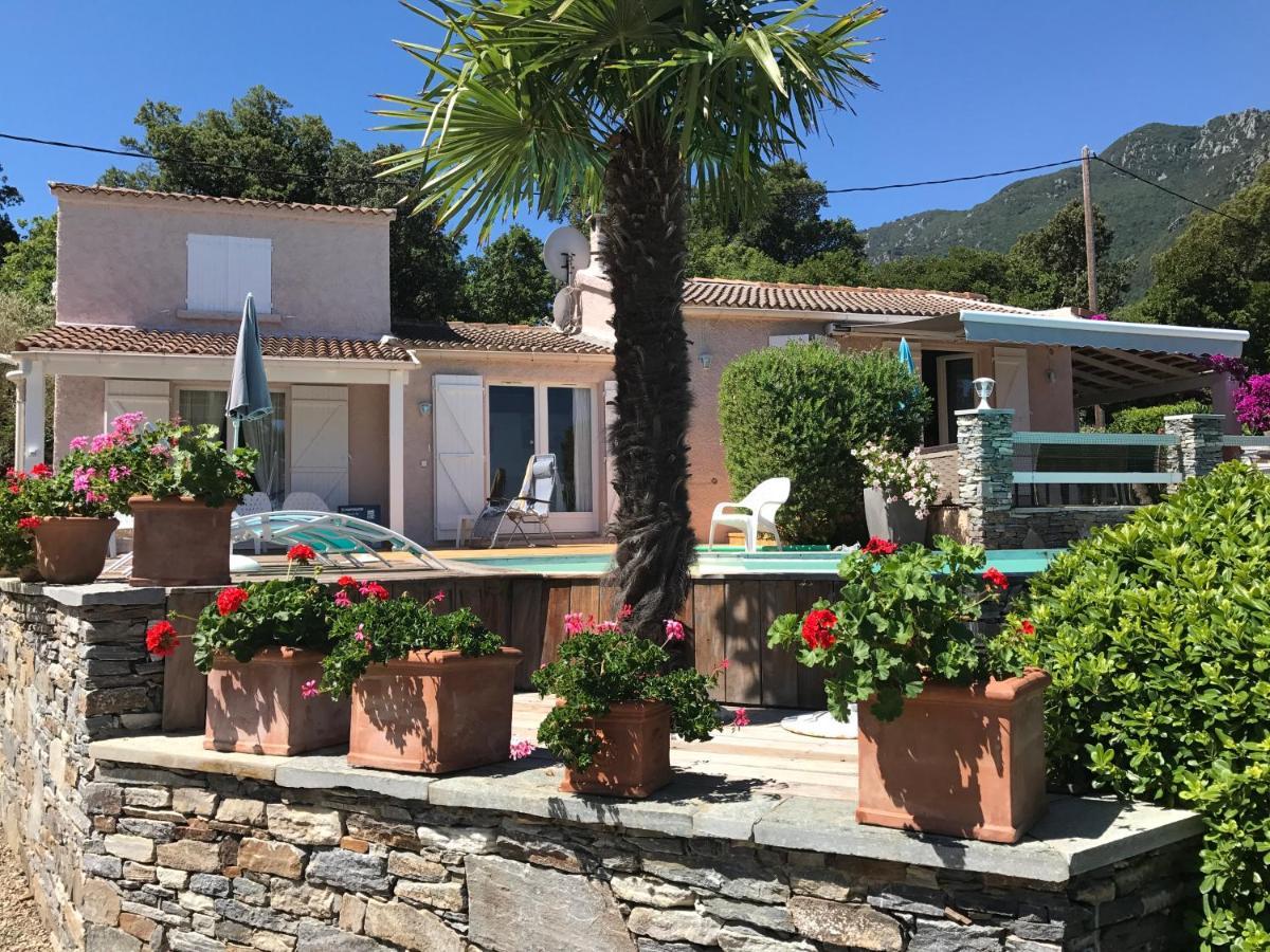 Chambre Hotes Carpe Diem Santa-Maria-Poggio (Corsica) Exterior foto